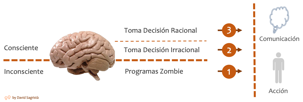 Los 3 Niveles en tu Toma de Decisiones